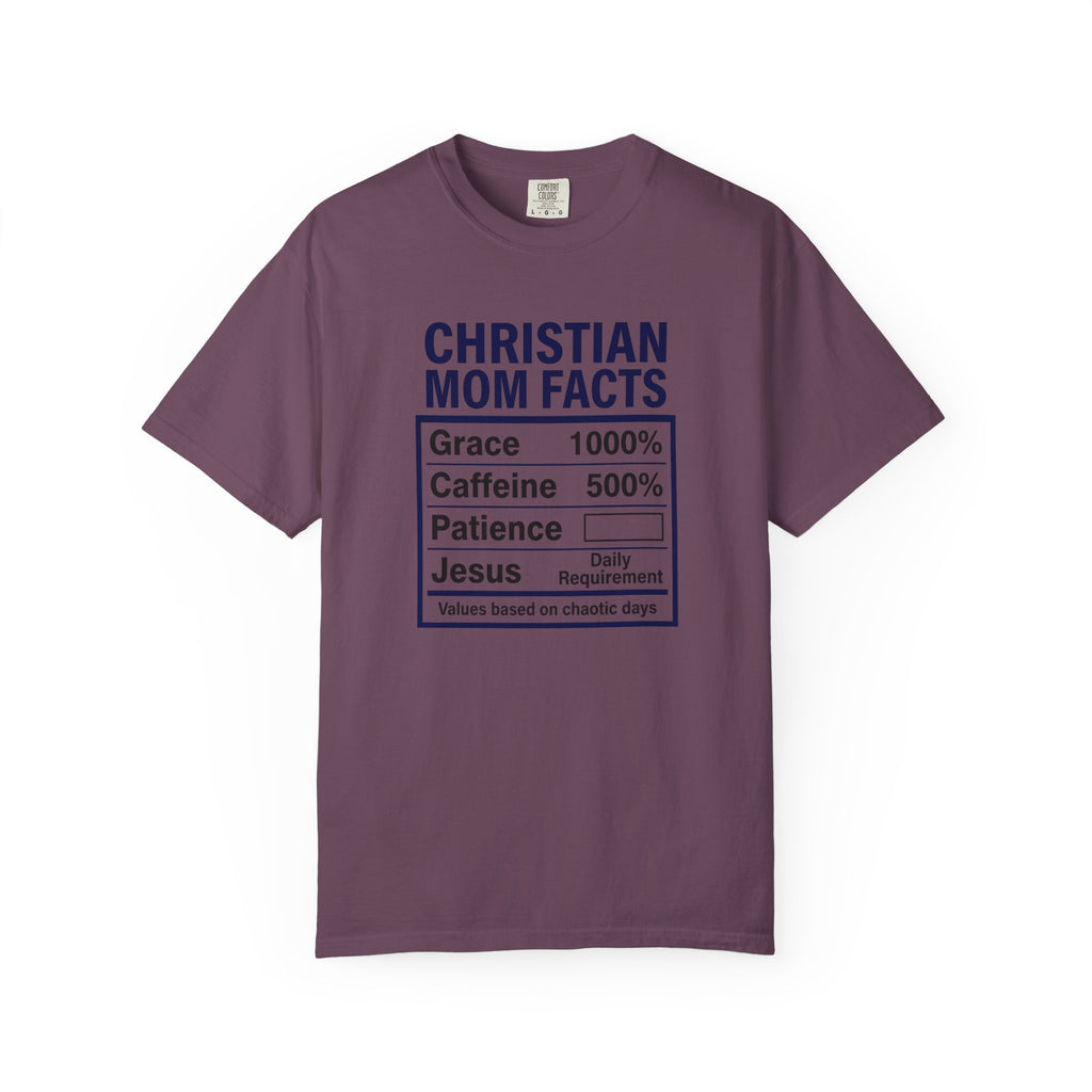 Christian Mom Facts
